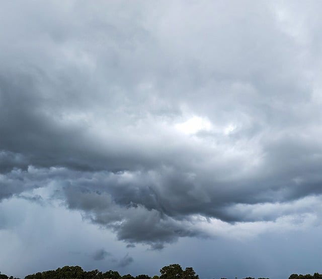 Precipitation forecasts in Rotorua